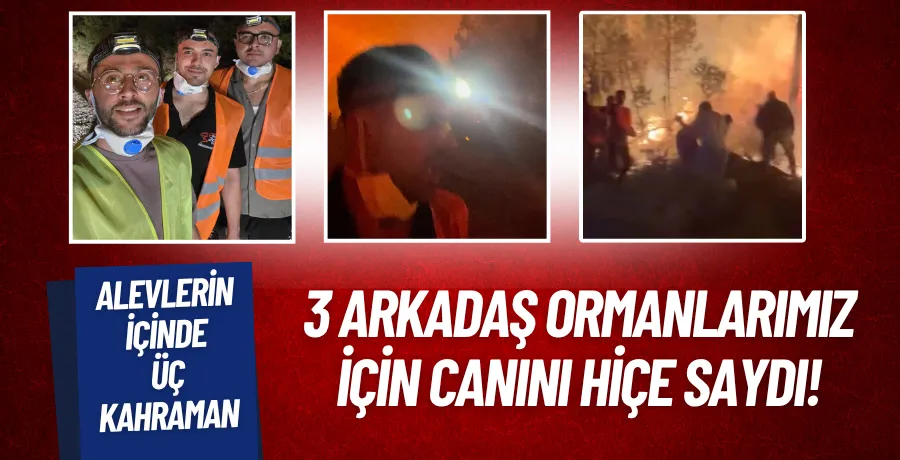 3 arkadaş ormanlarımız için canını hiçe saydı!