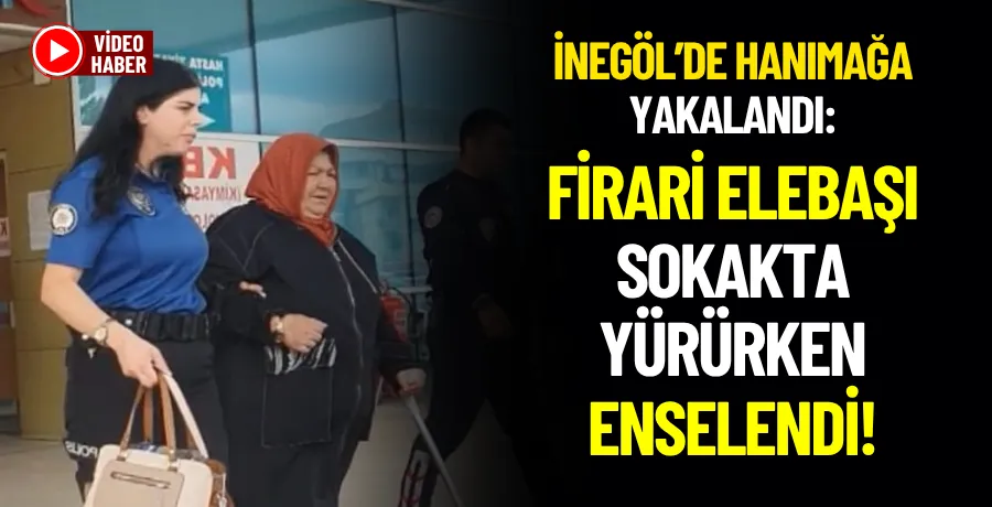 Hanım Ağa Çetesi