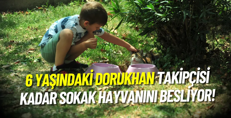6 yaşındaki Dorukhan, her gün takipçisi kadar sokak hayvanı besliyor