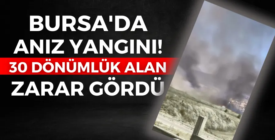 Bursa