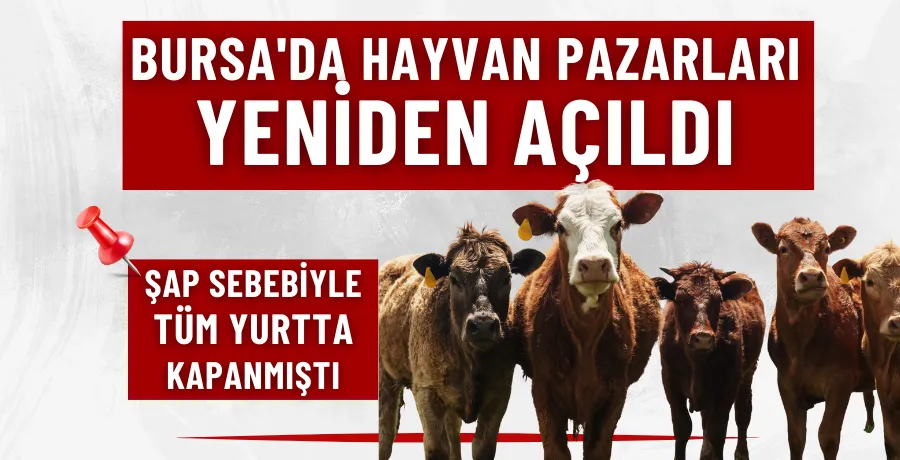 Bursa