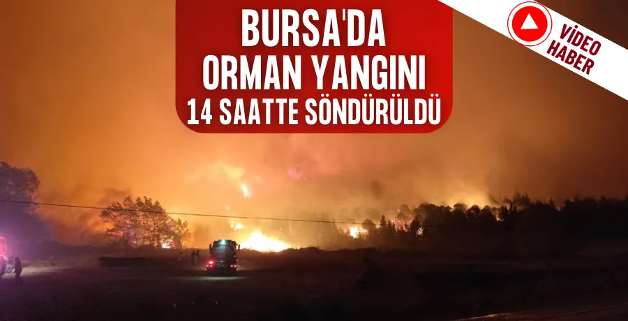 Bursa
