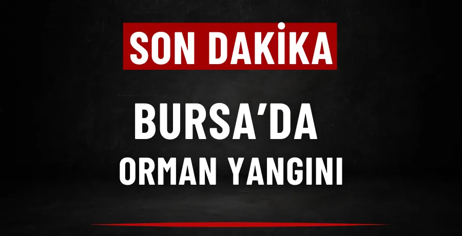 Bursa’da orman yangını