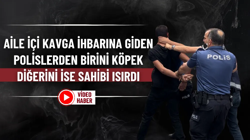 Aile içi kavga ihbarına giden polislerden birini köpek, diğerini ise sahibi ısırdı